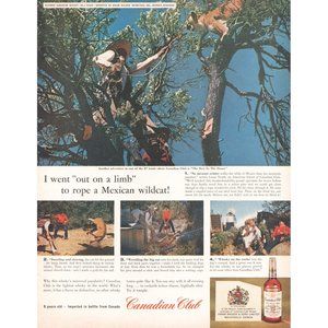 1961 Canadian Club Rye Whisky Vintage Print Ad Wild Cat Mountain Lion Wall Art